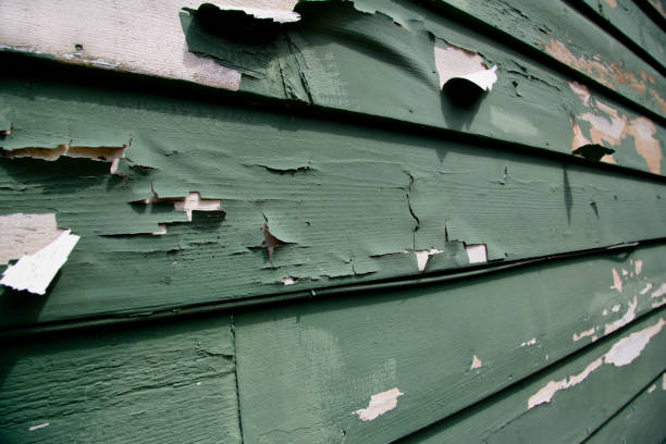 Best Hoarding Cleanup  in Camp Hill, AL